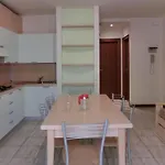Michelangelo Apartment *
