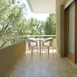 Michelangelo