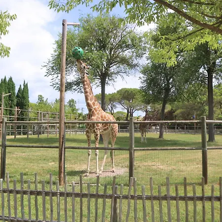 Michelangelo Beach Appartement *