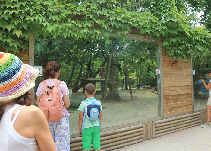 Apartment Michelangelo Lignano Sabbiadoro