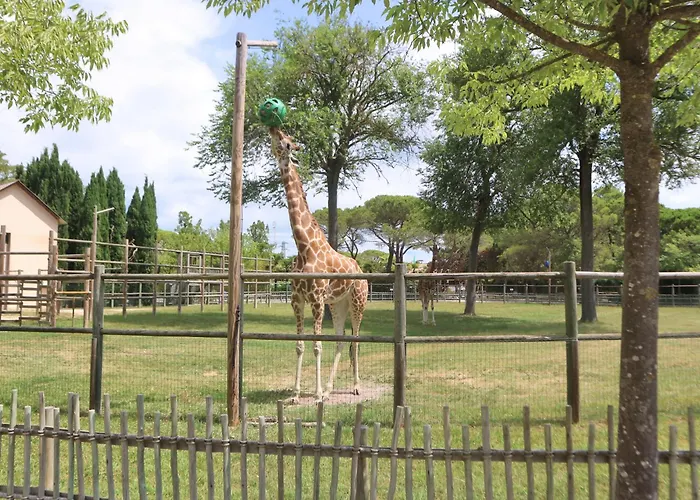 Michelangelo Apartment *